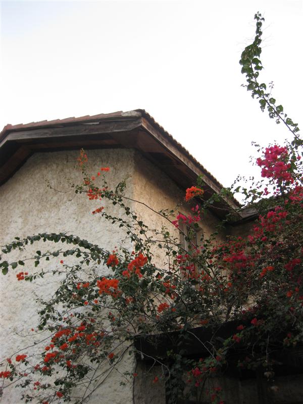 House in Al Falaj