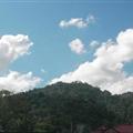 Rent The Pink Shoppe Resort in Los Banos