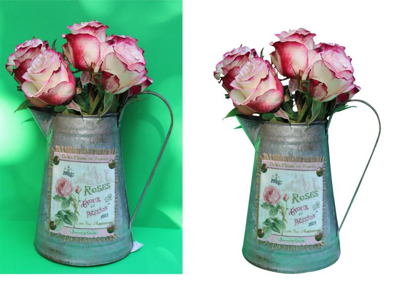 pagluclippingpath.com