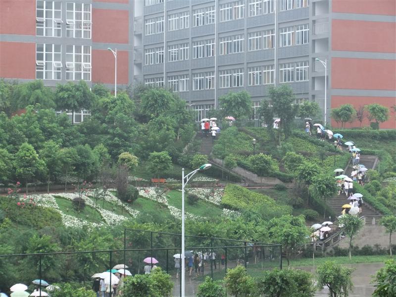 Lemmings going to lessons