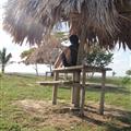 Sneakin some sun and writing in Trujillo