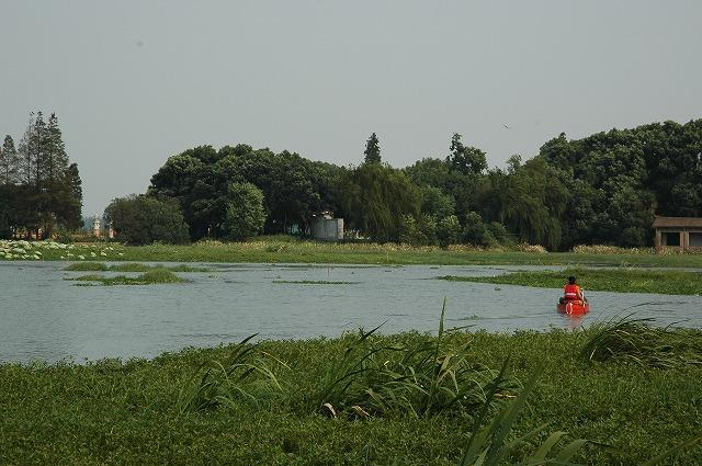 Photo by dragonboat