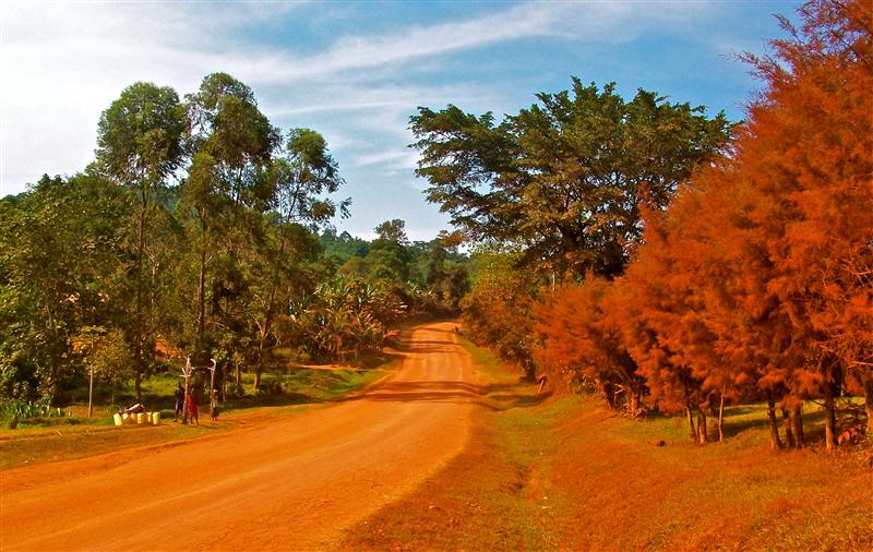 We walked the dirt roads of Uganda