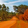 We walked the dirt roads of Uganda