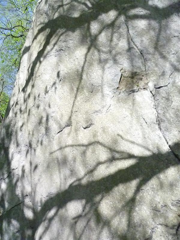 shadows and rock