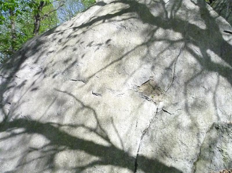 boulder shadow of trees