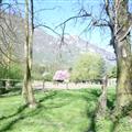 Horse field at La Finca