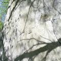 shadows and rock