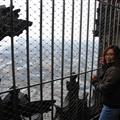 View from the top of Cologne Cathedral