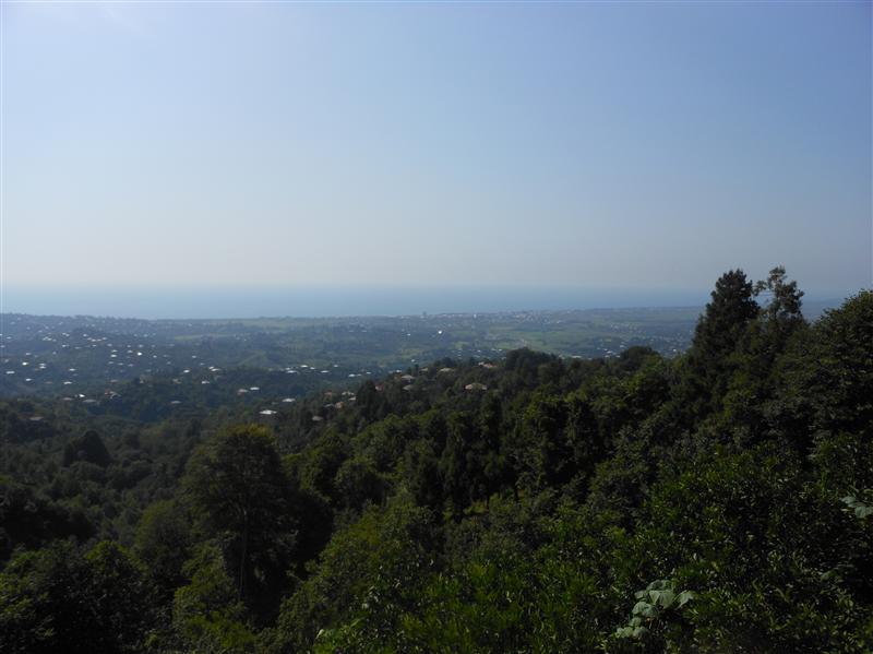 View from my bedroom window