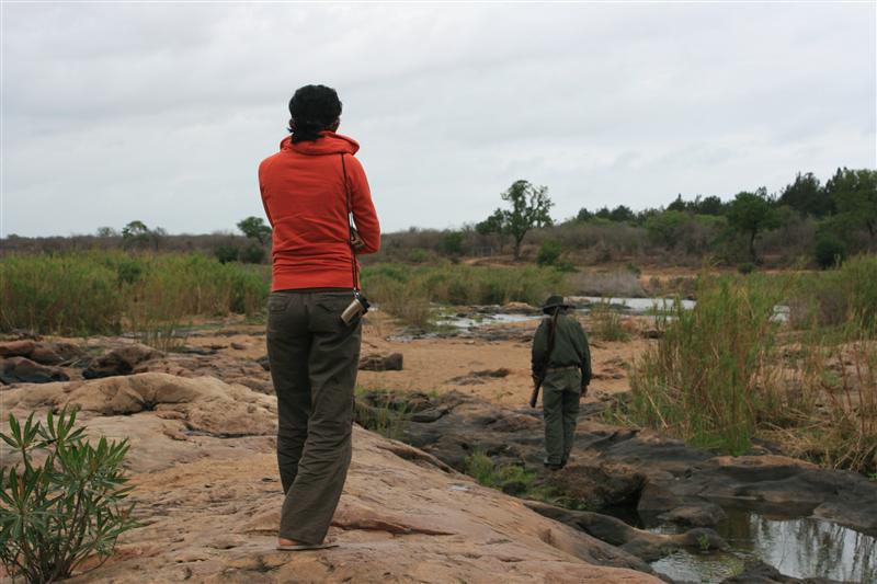 First time out of the 4x4 first sighting of hippos with a ranger ( and gun ) - no sight of crocs as yet!