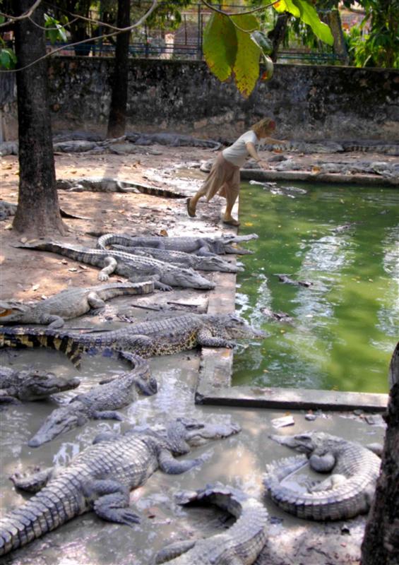 Photo from Cambodia
