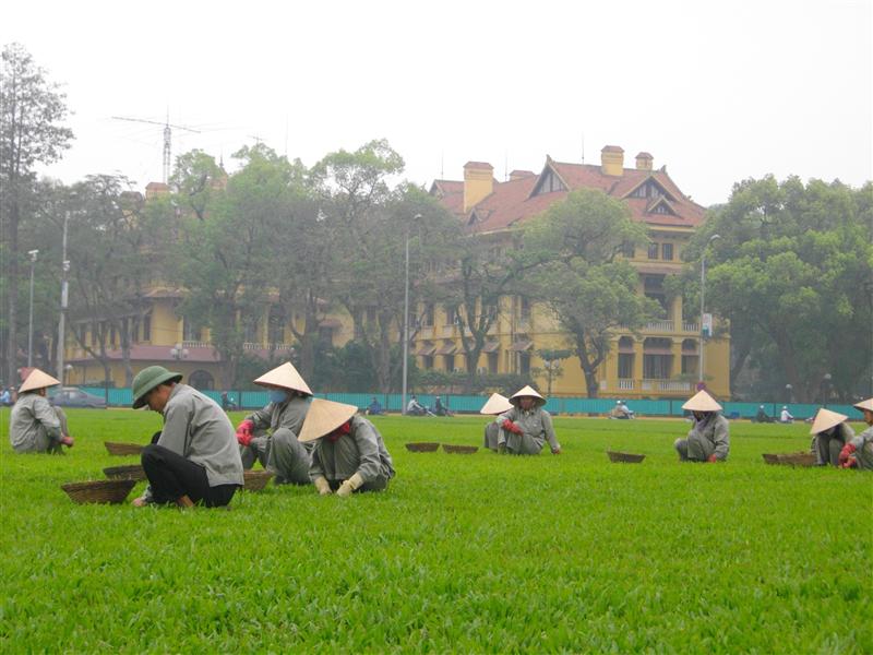 Photo from Vietnam