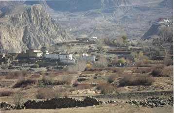 Jomsom Muktinath Trekking