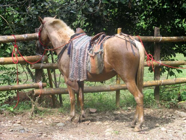 Photo by machupicchuvacations