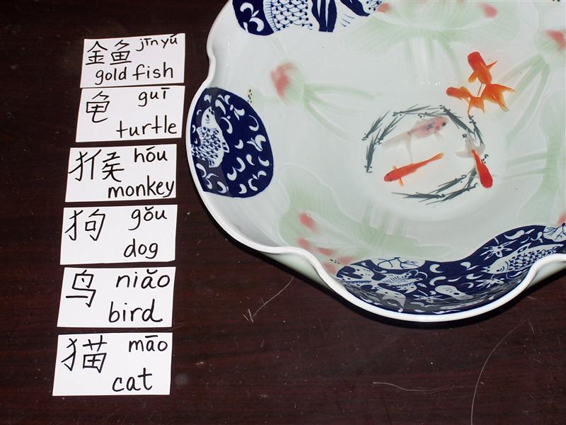 Here are all of the jin1 yu2 with their Chinese Characters written on cards next to their home.  Someone said they can't see out of their house and that is too bad, but I think they have a lovely home with Lotus flowers and they are very lucky jin1yu2.
