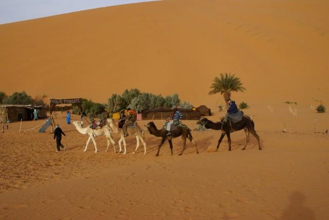 camel trek