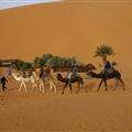 camel trek