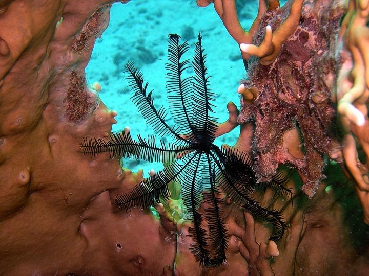 Photo by travelhurghada