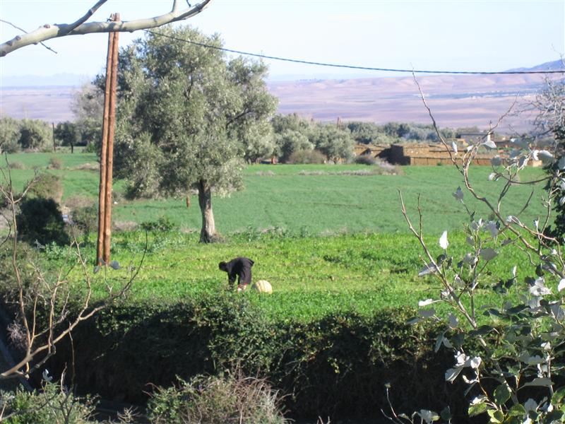 Photo from Morocco 2005