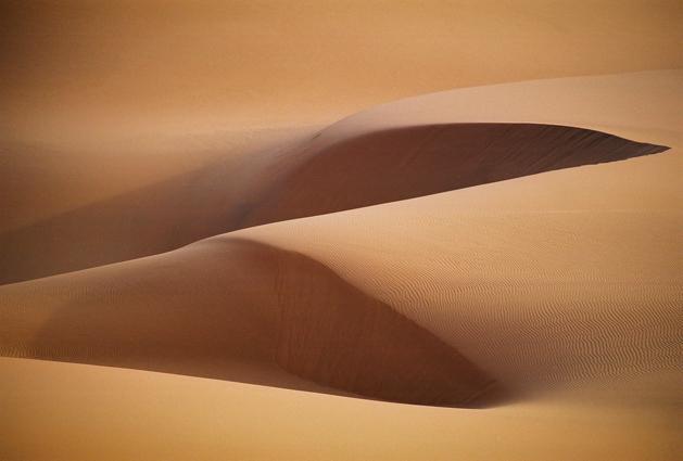 Photo by robinson