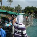 one of the pools of warm mineral water (from natural springs)