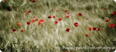 Photo by flexibled