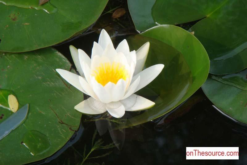 Photo by www.onThesource.com